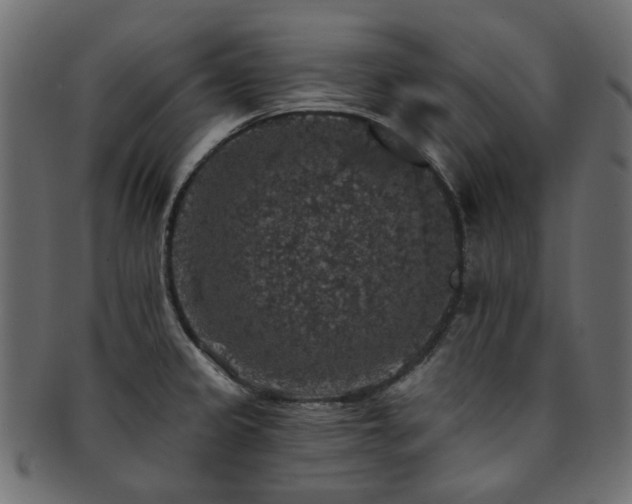 X0000093131333200709261340