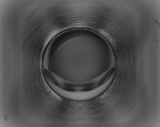 X0000093131334200709261340