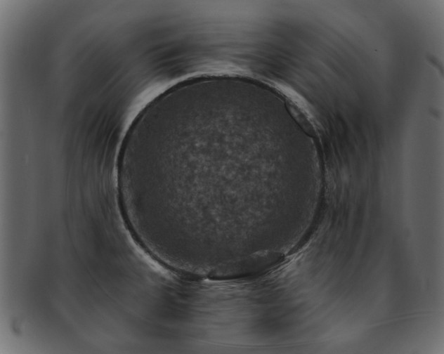 X0000093131335200709261340