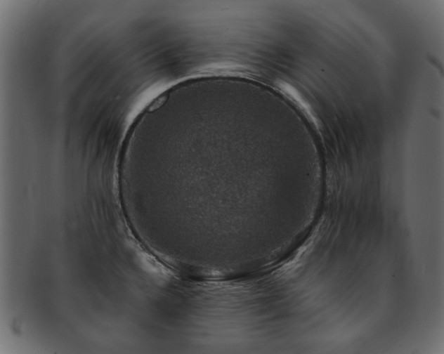 X0000093131336200709261340
