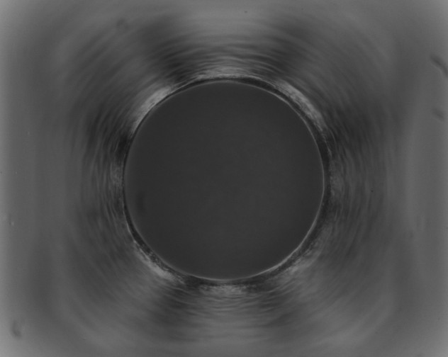 X0000093131337200709261340