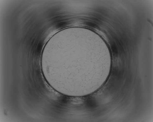 X0000093131338200709261340