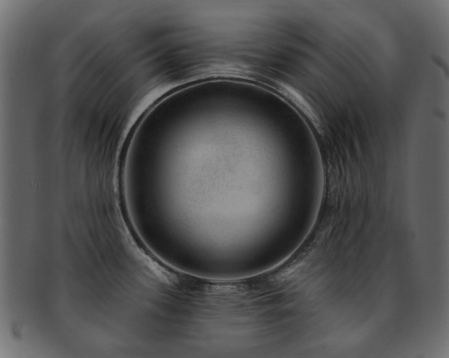 X0000093131339200709261340