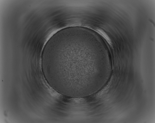 X0000093131340200709261340