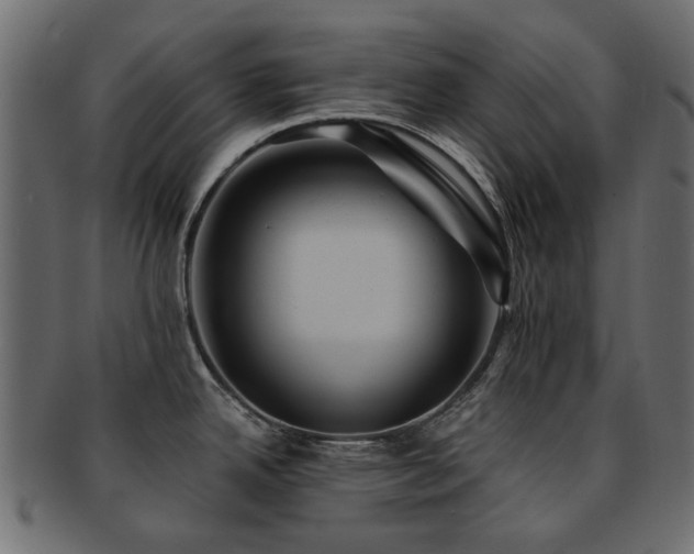 X0000093131342200709261340