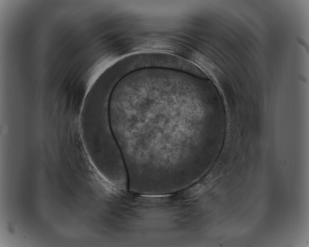 X0000093131344200709261340