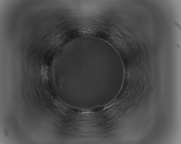 X0000093131346200709261339