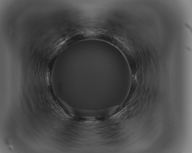 X0000093131348200709261339