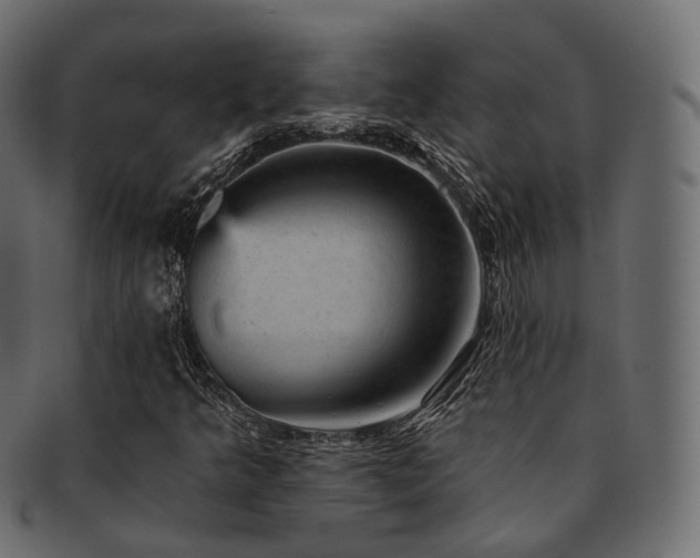 X0000093131349200709261339