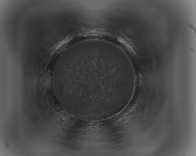 X0000093131350200709261339