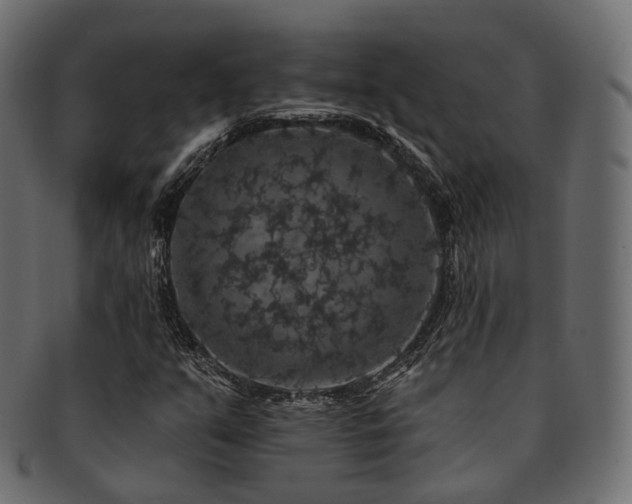X0000093131351200709261339