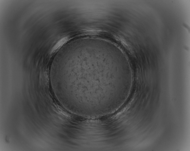 X0000093131354200709261339