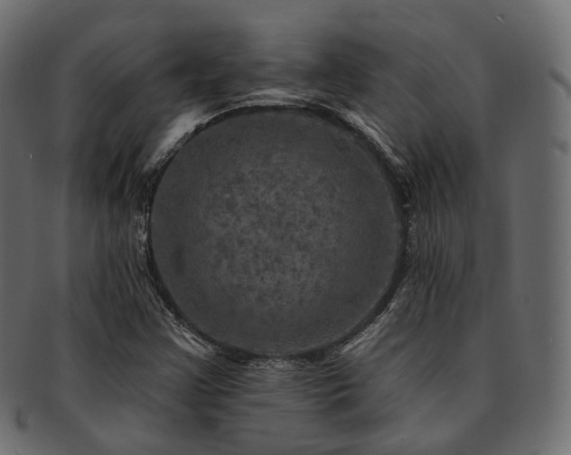 X0000093131355200709261339