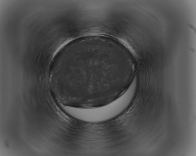 X0000093131356200709261339