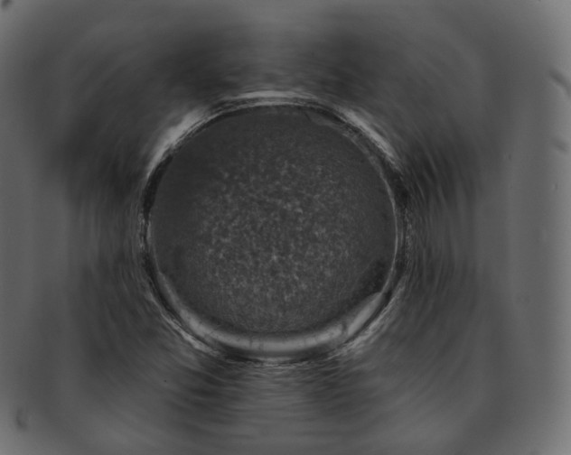 X0000093131357200709261339