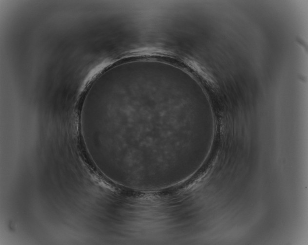 X0000093131358200709261339