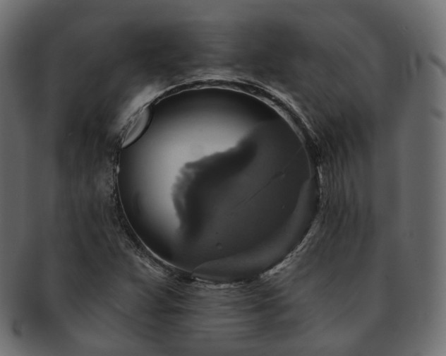 X0000093131359200709261339