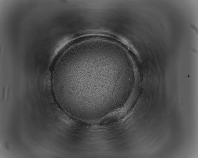 X0000093131360200709261339