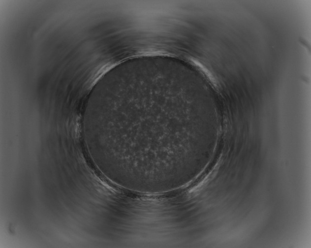X0000093131361200709261339