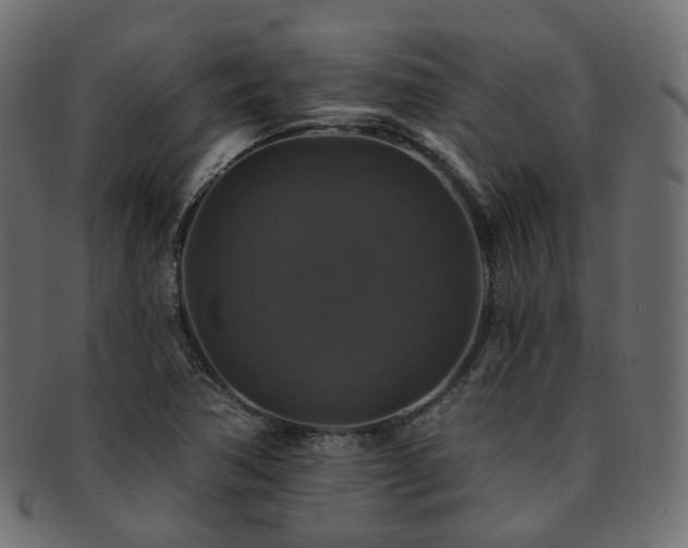 X0000093131362200709261339