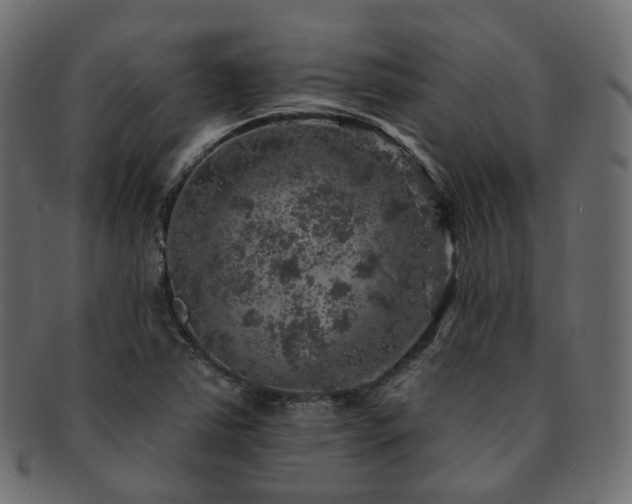 X0000093131363200709261339