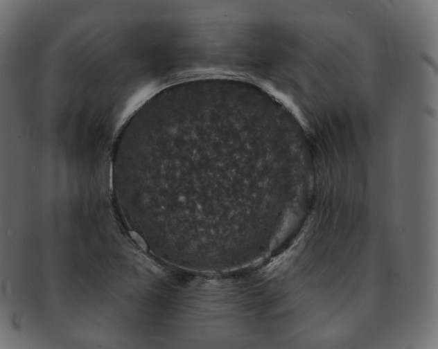 X0000093131365200709261339