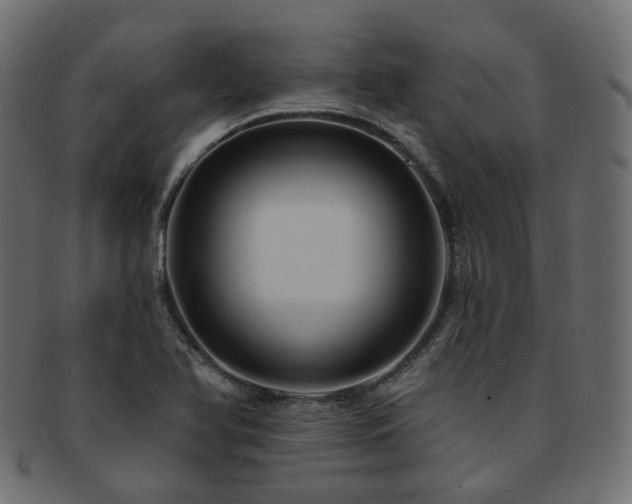 X0000093131366200709261339