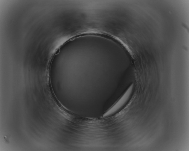 X0000093131367200709261339