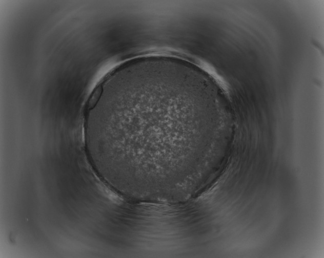 X0000093131368200709261339