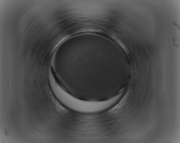 X0000093131369200709261339