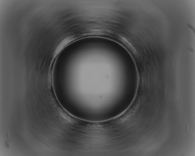 X0000093131370200709261339