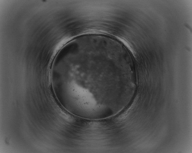X0000093131371200709261339