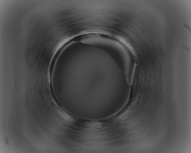 X0000093131372200709261339