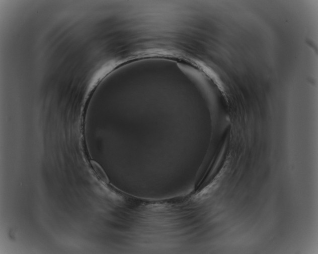 X0000093131373200709261339