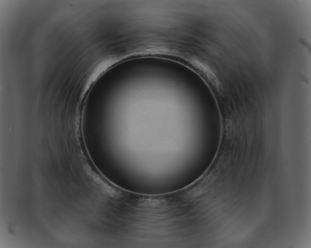 X0000093131374200709261339