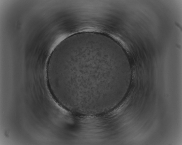 X0000093131375200709261339