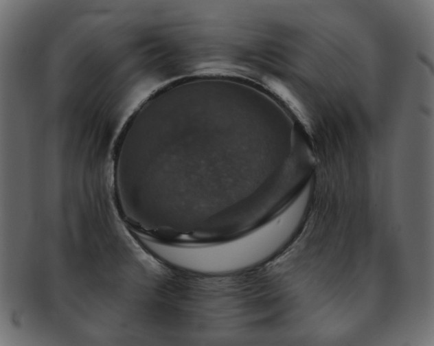 X0000093131376200709261339