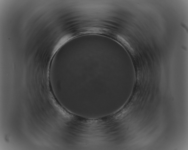 X0000093131378200709261339