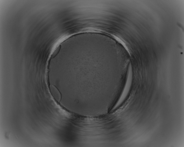 X0000093131379200709261339