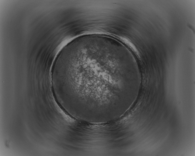 X0000093131380200709261339
