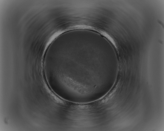 X0000093131381200709261339