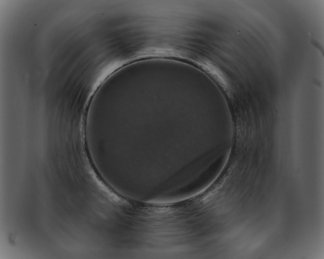 X0000093131382200709261339