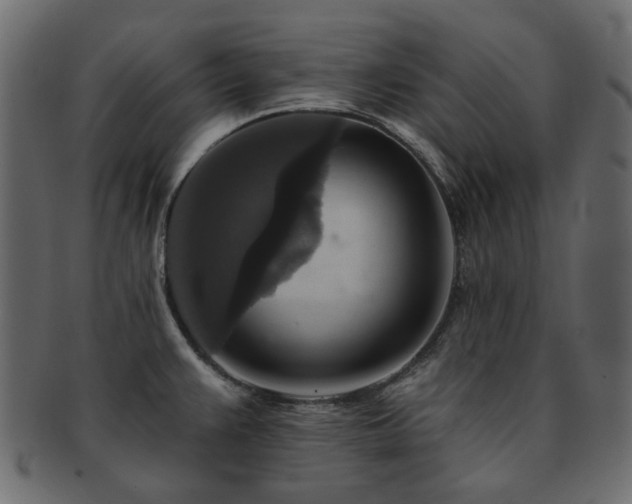X0000093131383200709261339