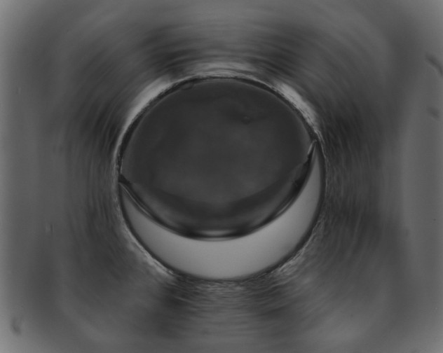X0000093131384200709261339