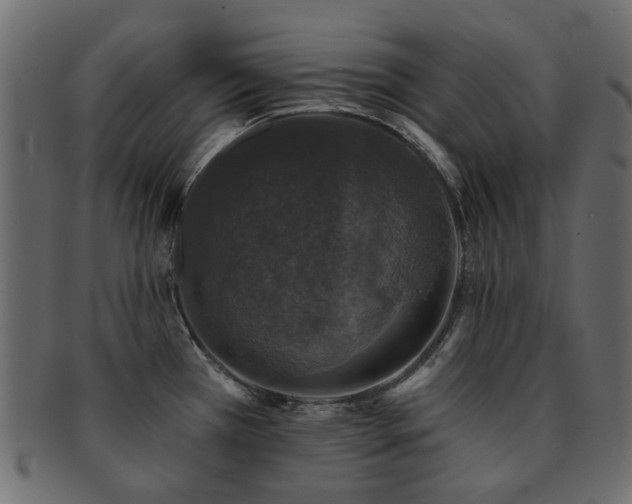 X0000093131385200709261339