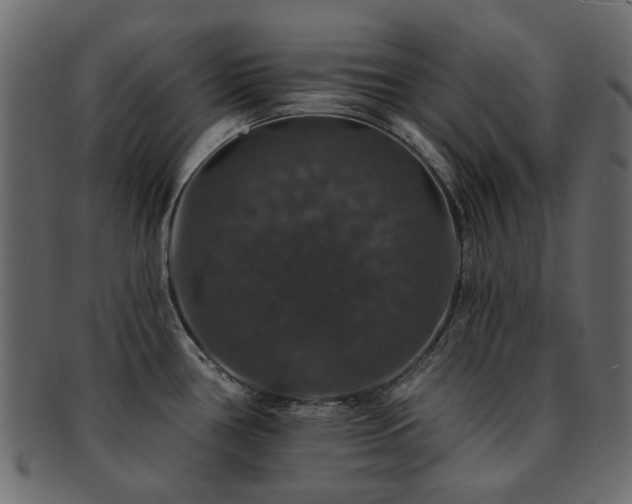 X0000093131386200709261339