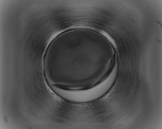 X0000093131388200709261339
