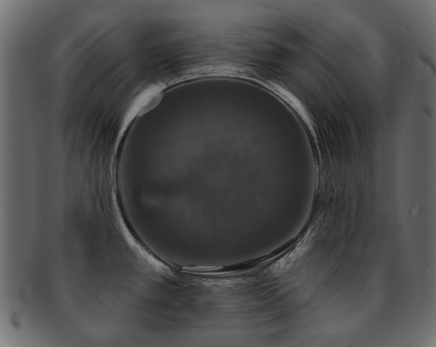 X0000093131389200709261339