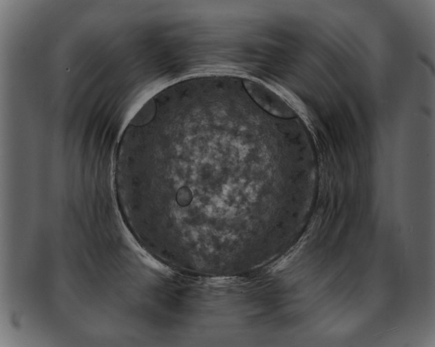 X0000093131390200709261339