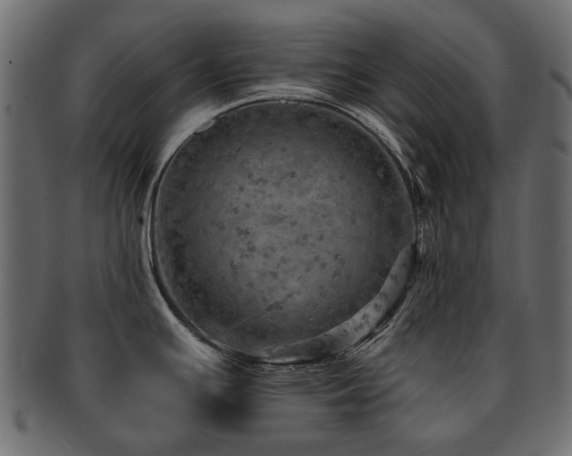 X0000093131391200709261339